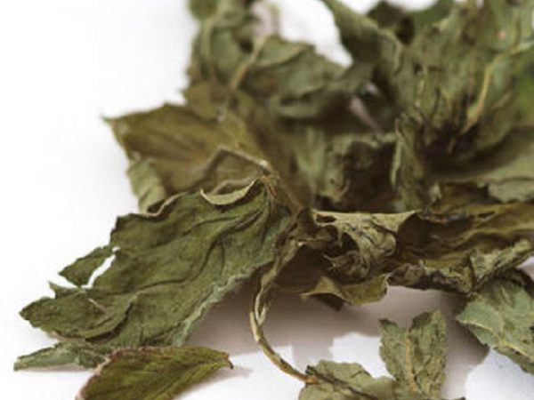 Wholeleaf Peppermint Loose 50g